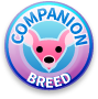 Companion Breeds