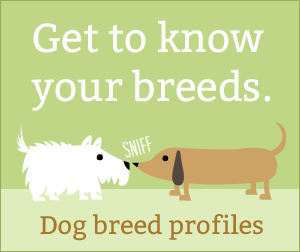 Bx breedprofile