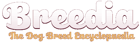 Breedia - Dog Breed Info