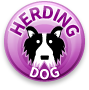 Herding Dog