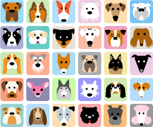 every type of dog in the world