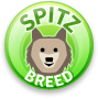 Spitz Breed